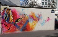 C215 à l'Ecole de la Cité Dorée