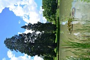 Parc de Triviers