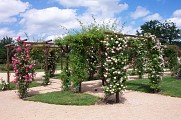La Roseraie de Saint-Galmier