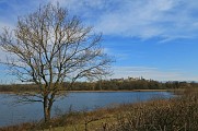 Étang de Salette