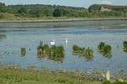 Étang de Salette