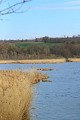 Étang de Salette