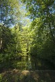 Espace Naturel Sensible de la Save - Secteur des étangs de Passins