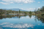 Espace Naturel Sensible de la Save - Secteur des étangs de Passins