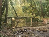 Pont du Violon