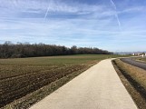Bois du fort