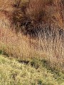 Vernaison - Du plateau aux îles