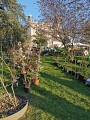 Foire des plantes rares de Saint-Priest