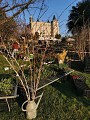 Foire des plantes rares de Saint-Priest