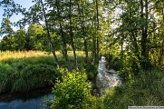 Espace Naturel Sensible des prairies inondables de Pont-Évêque