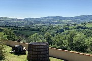 De St-Symphorien-sur-Coise à L'Arbresle par le GR® de Pays des Monts du Lyonnais