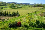 Sain-Bel - GR® du Pays 'Coteaux du Lyonnais'