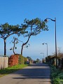 Le Chemin de la Saâne