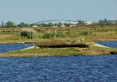 Saint-Laurent-de-la-Prée : la pointe de la Parpagnole