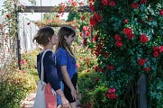 Village-jardin "De rose en rose"