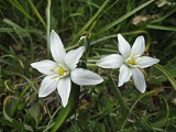 Natura 2000 : Col d'Ornon