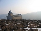 Chiroubles - Dans les vignes