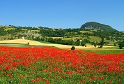 Village de Selonnet