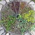 Jardin ethnobotanique "Il était une fois... un jardin conté"