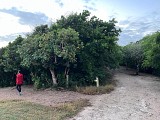 Bois Baron / Anse Maurice