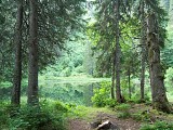 Le lac de Petétoz