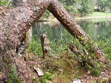 Le lac de Petétoz
