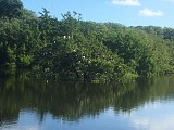 Traversé du Bourg de Anse Bertrand