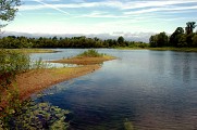 Écopôle du Val d'Allier | Réserve naturelle & observation des oiseaux