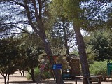 Grand Parc de Figuerolles - Paul Lombard