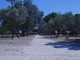 Grand Parc de Figuerolles - Paul Lombard