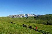Lacs du Plateau d 'Emparis