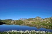 Lacs du Plateau d 'Emparis
