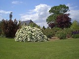 Roseraie Loubert