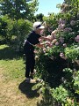 Roseraie Loubert