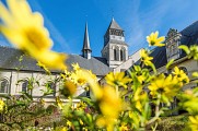 Abbaye royale de Fontevraud
