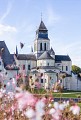 Abbaye royale de Fontevraud