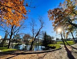 Jardin d'Allard