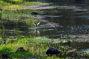 Lac Sainte-Suzanne