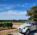 Circuit entre vignes et Nouère