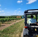 Circuit entre vignes et Nouère
