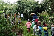 Le jardin des plantes à couleurs