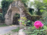 Le jardin médiéval