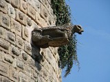 Tour Quiquengrogne et Maison Canoniale