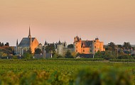 Château de Montreuil-Bellay
