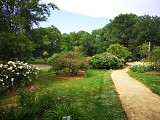 Roseraie Les Chemins de la Rose