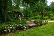 Roseraie Les Chemins de la Rose