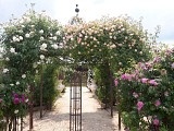 Terre de Rose Distillerie Roseraie