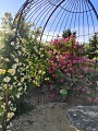 Terre de Rose Distillerie Roseraie