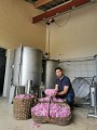 Terre de Rose Distillerie Roseraie