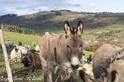 Micro-aventure - Beaujeu - 3 ou 4 jours entre les Monts et les Vignobles du Beaujolais.